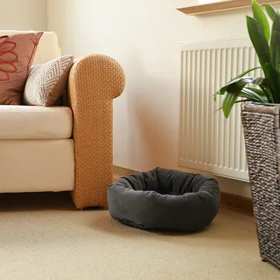 Graues, rundes Haustierbett aus Stoff neben einem Sofa und einer Heizung in einem Wohnzimmer.