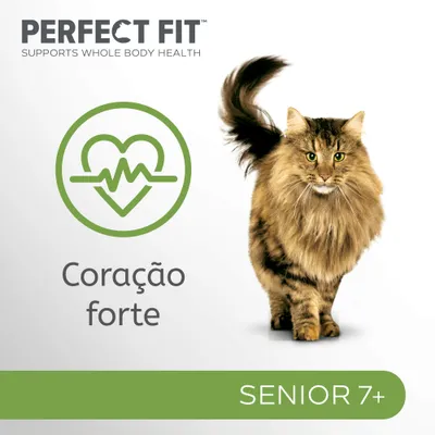 Perfect Fit Senior em saquetas para gatos