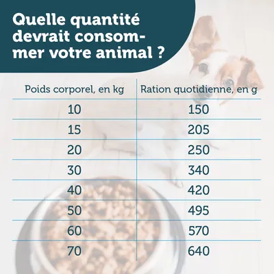 Tableau de ration quotidienne selon poids corporel : 10 kg 150 g, 15 kg 205 g, 20 kg 250 g, 30 kg 340 g, 40 kg 420 g, 50 kg 495 g, 60 kg 570 g, 70 kg 640 g.