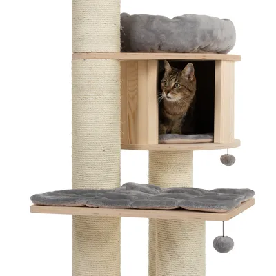 Kratzbaum aus Holz mit Sisalstämmen, grauen Liegeflächen und Höhle. Katze sitzt in der Höhle. Zwei hängende Spielbälle sichtbar.