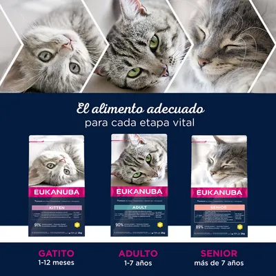 Tres envases de pienso Eukanuba para gatos: Kitten 1–12 meses, Adult 1–7 años y Senior más de 7 años. Texto: El alimento adecuado para cada etapa vital.