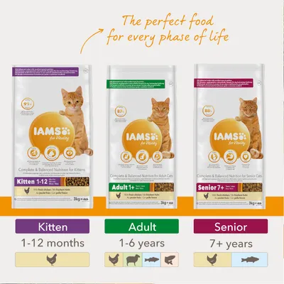 IAMS for Vitality kattefoder: Kitten 1–12 måneder, Adult 1+ år, Senior 7+ år. Synlige varianter med kylling, oksekød, fisk og laks. 3 kg poser. Tekst: The perfect food for every phase of life.