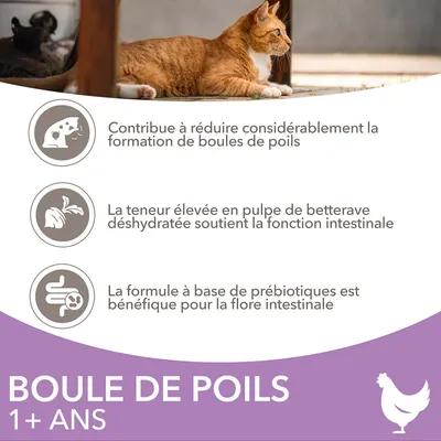 Boule de poils 1+ ans. Réduit la formation de boules de poils, pulpe de betterave déshydratée pour la fonction intestinale, formule aux prébiotiques bénéfique pour la flore intestinale.
