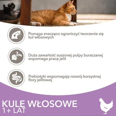 Kule włosowe 1+ lat. Pomaga ograniczyć tworzenie się kul włosowych, suszona pulpa buraczana wspomaga pracę jelit, prebiotyki wspierają florę jelitową.