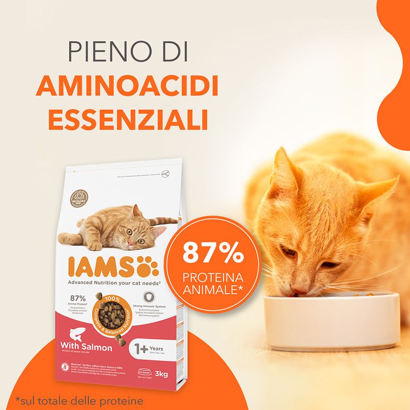 IAMS Advanced Nutrition Adult Cat con Salmone