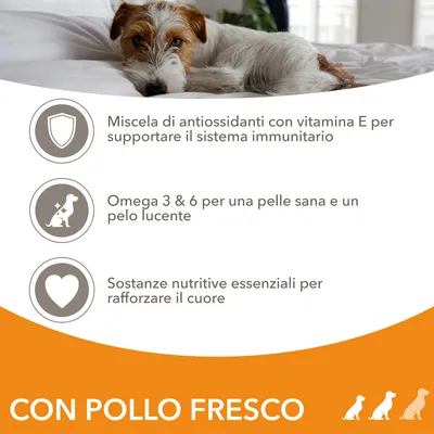 Miscela di antiossidanti con vitamina E, Omega 3 & 6 per pelle e pelo, sostanze nutritive essenziali per il cuore. Testo: CON POLLO FRESCO.