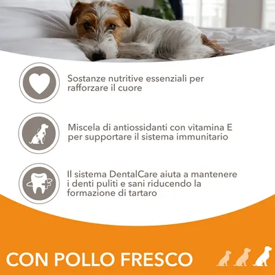 Sostanze nutritive essenziali per rafforzare il cuore, antiossidanti con vitamina E per il sistema immunitario, sistema DentalCare per denti sani. Testo: CON POLLO FRESCO.