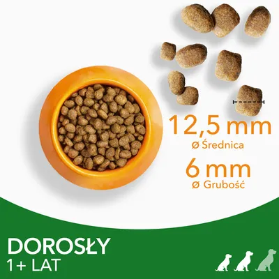 Karma sucha dla dorosłych psów 1+ lat, średnica granulatu 12,5 mm, grubość 6 mm. Widoczne granulki i miska z karmą.