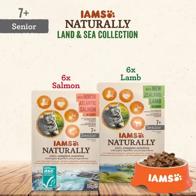 IAMS Naturally Land & Sea Collection Senior 7+, 6x lax, 6x lamm. Förpackningar med kattbild och text: 'with North Atlantic Salmon', 'with New Zealand Lamb'. Portionsskål med foder syns.