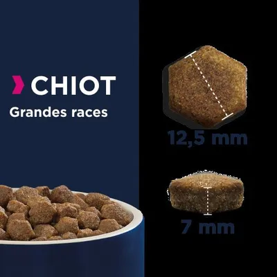 Croquettes pour chiot grandes races, forme hexagonale, dimensions indiquées : 12,5 mm de large et 7 mm d’épaisseur. Texte visible : « CHIOT Grandes races ».