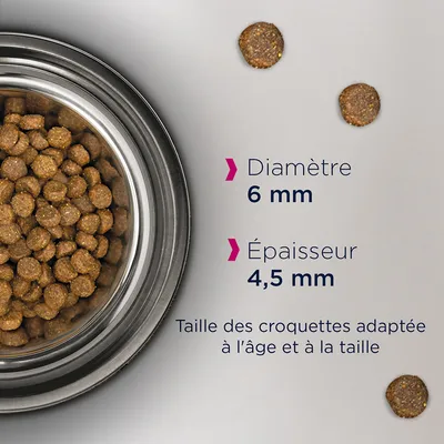 Croquettes en gros plan dans une gamelle, texte : Diamètre 6 mm, Épaisseur 4,5 mm, Taille des croquettes adaptée à l’âge et à la taille.