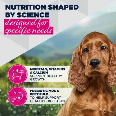 Eukanuba Puppy Sensitive Digestion kana Eukanuba Puppy Sensitive Digestion kana