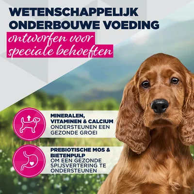 Eukanuba Special Care Puppy Sensitive Digestion Eukanuba Special Care Puppy Sensitive Digestion