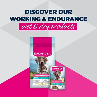EUKANUBA Working & Endurance Adult S-XL kuiva- ja märkäruoka. Tutustu Working & Endurance märkä- ja kuivaruokiimme. EUKANUBA Working & Endurance Adult S-XL kuiva- ja märkäruoka. Tutustu Working & Endurance märkä- ja kuivaruokiimme.