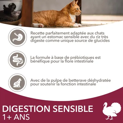 DIGESTION SENSIBLE 1+ ANS. Recette pour chats à estomac sensible, riz très digeste, prébiotiques bénéfiques, pulpe de betterave déshydratée pour la fonction intestinale.