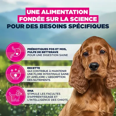 Eukanuba Special Care Sensitive Digestion Puppy poulet, dinde