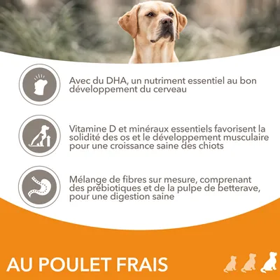 Avec du DHA pour le cerveau, vitamine D et minéraux pour les os et muscles des chiots, fibres avec prébiotiques et pulpe de betterave pour la digestion. Texte : AU POULET FRAIS.
