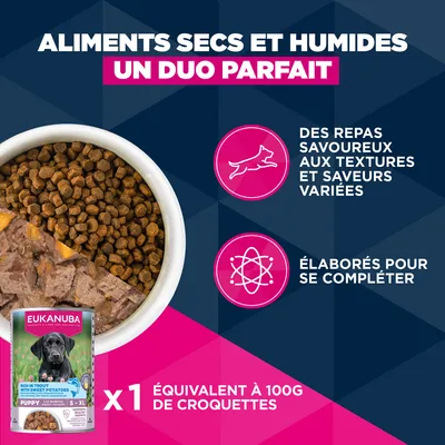 Eukanuba Premium Nutrition Puppy Small Breed au poulet