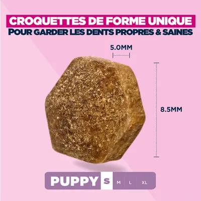 Eukanuba Premium Nutrition Puppy Small Breed au poulet