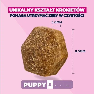 Eukanuba Premium Nutrition Puppy Small Breed, kurczak