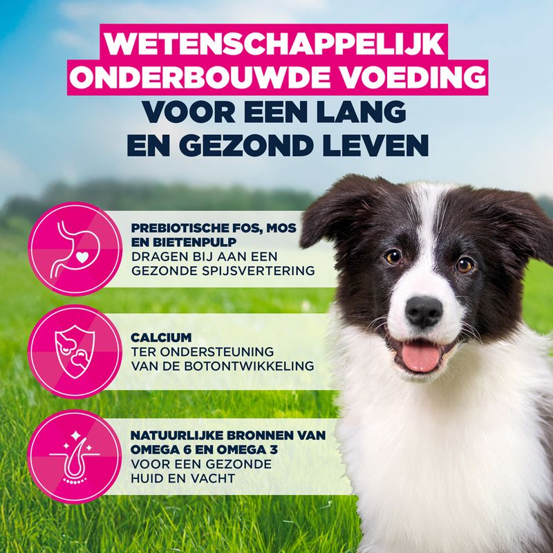 Eukanuba Puppy Medium Breed Kip Hondenvoer
