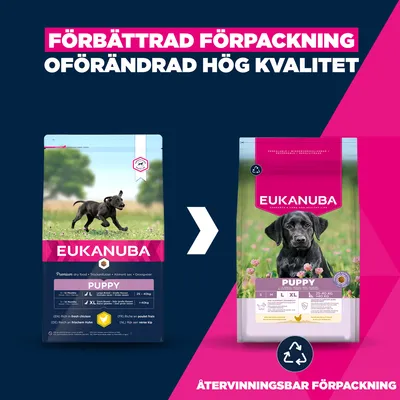 Eukanuba Premium Nutrition Puppy Large & Giant Breed Chicken