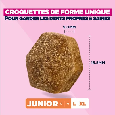 Eukanuba Premium Nutrition Junior Large et Giant Breed au poulet
