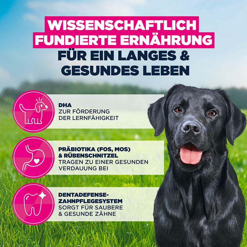 Eukanuba Premium Nutrition Junior Large & Giant Breed piščanec