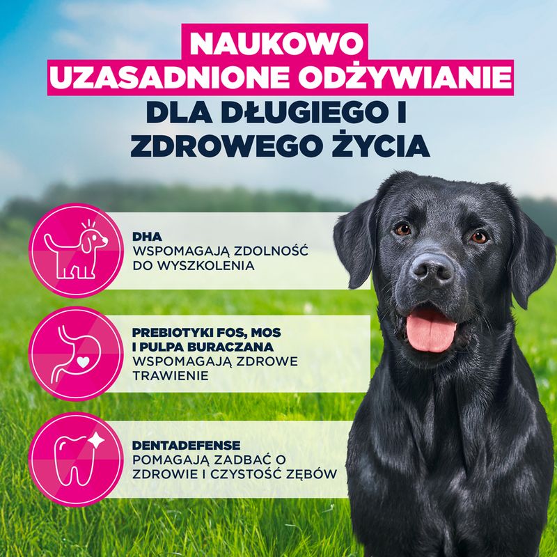 Eukanuba Premium Nutrition Junior Large & Giant Breed, kurczak