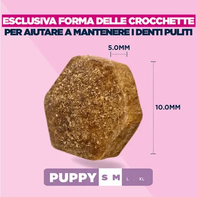 Eukanuba Premium Nutrition Puppy Small & Medium Breed Agnello & Riso