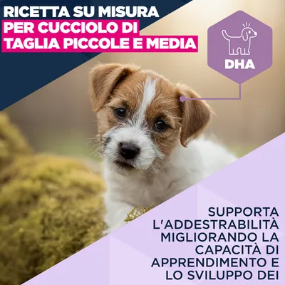 Eukanuba Premium Nutrition Puppy Small & Medium Breed Agnello & Riso