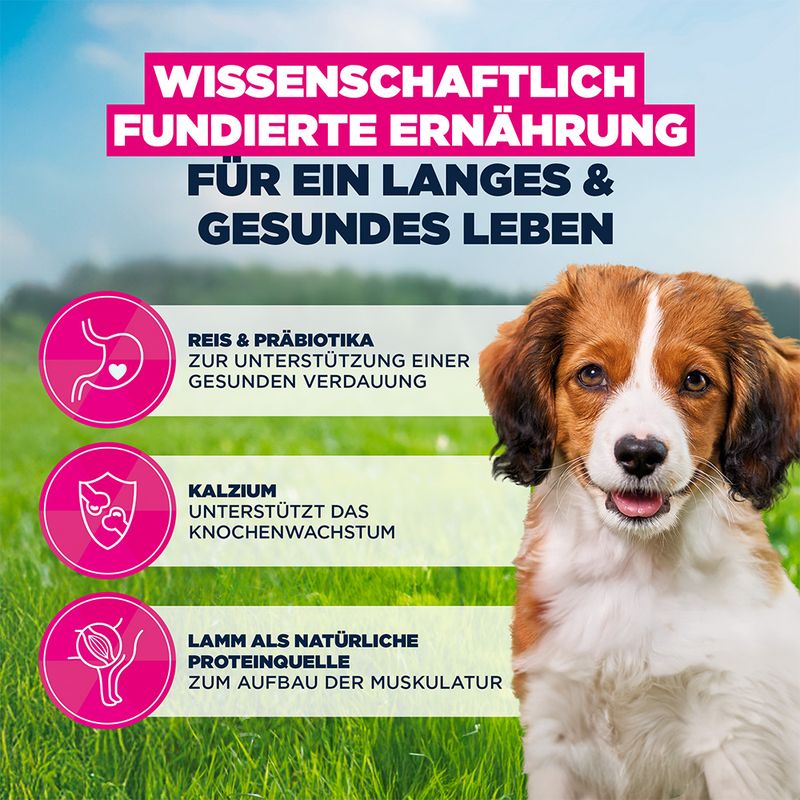 Eukanuba Premium Nutrition Puppy Small & Medium Breed Lamm & Reis