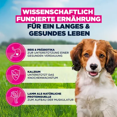 Eukanuba Premium Nutrition Puppy Small & Medium Breed Lamm & Reis