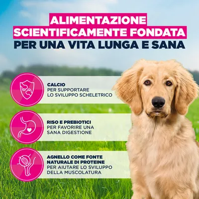 Eukanuba Premium Nutrition Puppy Large & Giant Breed Agnello & Riso