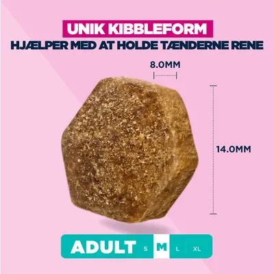 Eukanuba Premium Nutrition Adult Medium Breed Kylling