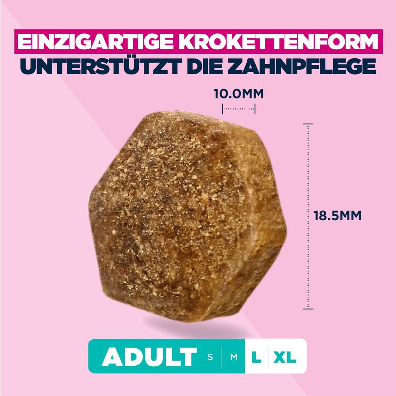 Eukanuba Premium Nutrition Adult Large & Giant Breed piščanec
