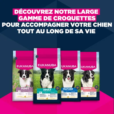 Eukanuba Premium Nutrition Adult Small et Medium Breed Agneau et Riz