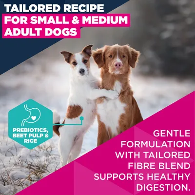 Eukanuba Premium Nutrition Adult Small & Medium Breed karitsa & riisi