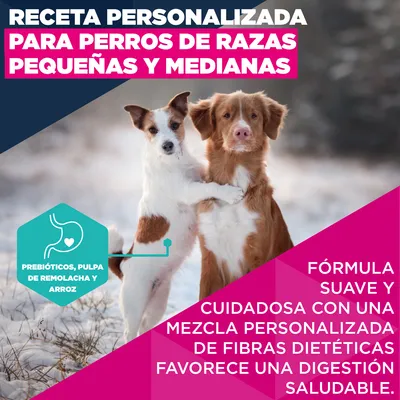 Eukanuba Premium Nutrition Adult Small & Medium Breed cordero y arroz