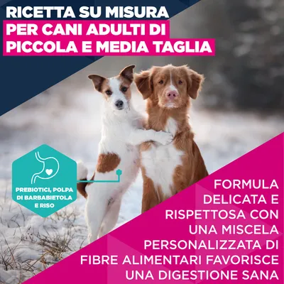 Eukanuba Premium Nutrition Adult Small & Medium Breed Agnello & Riso