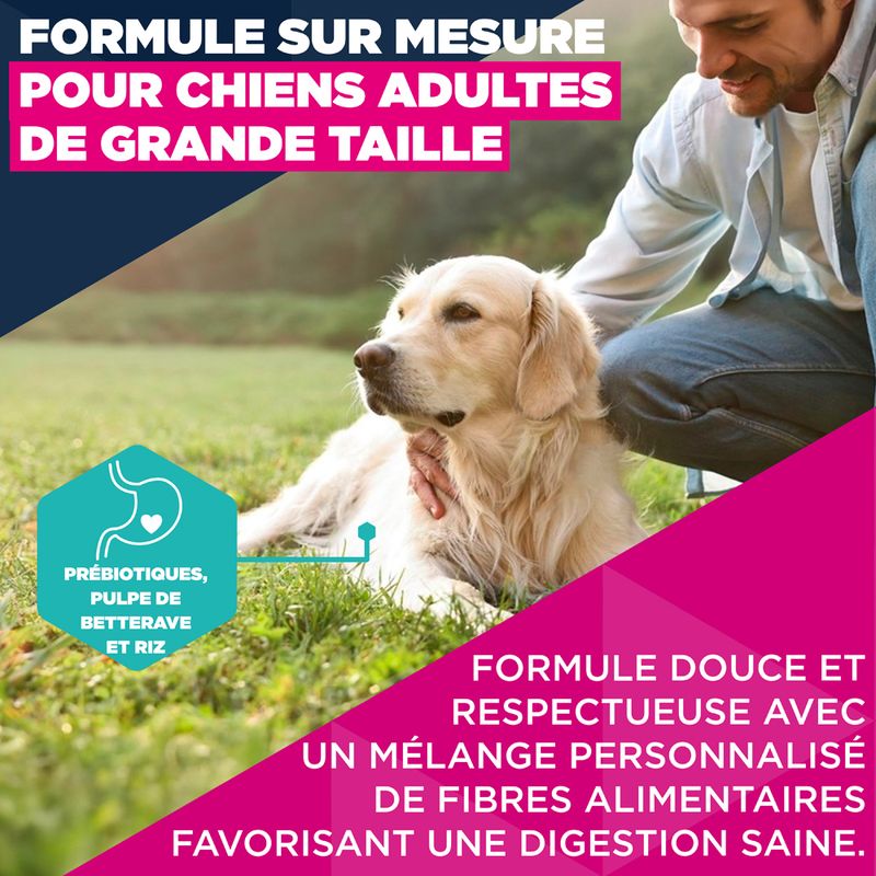 Eukanuba Premium Nutrition Adult Large et Giant Breed Agneau et Riz
