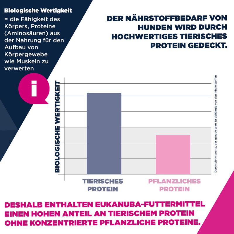Eukanuba Premium Nutrition Adult Small & Medium Breed Lachs