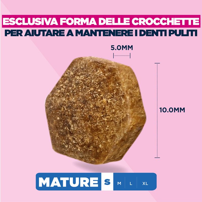 Eukanuba Premium Nutrition Mature Small Breed Pollo