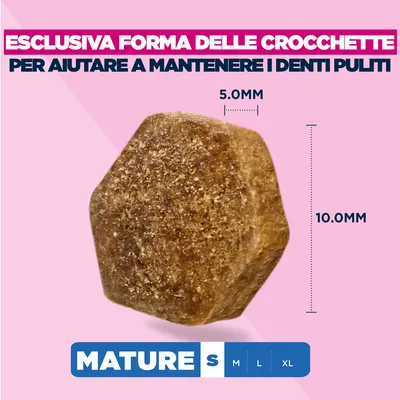 Eukanuba Premium Nutrition Mature Small Breed Pollo