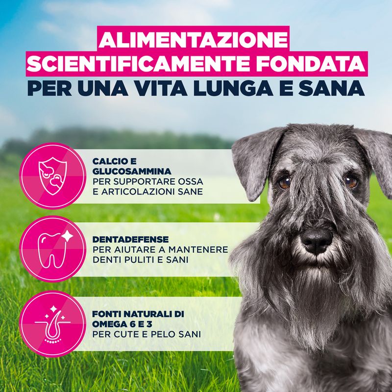 Eukanuba Premium Nutrition Mature Small Breed Pollo