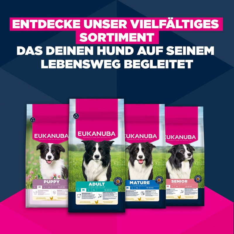 Eukanuba Premium Nutrition Mature Medium Breed Huhn