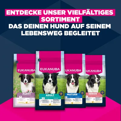 Eukanuba Premium Nutrition Mature Medium Breed Huhn