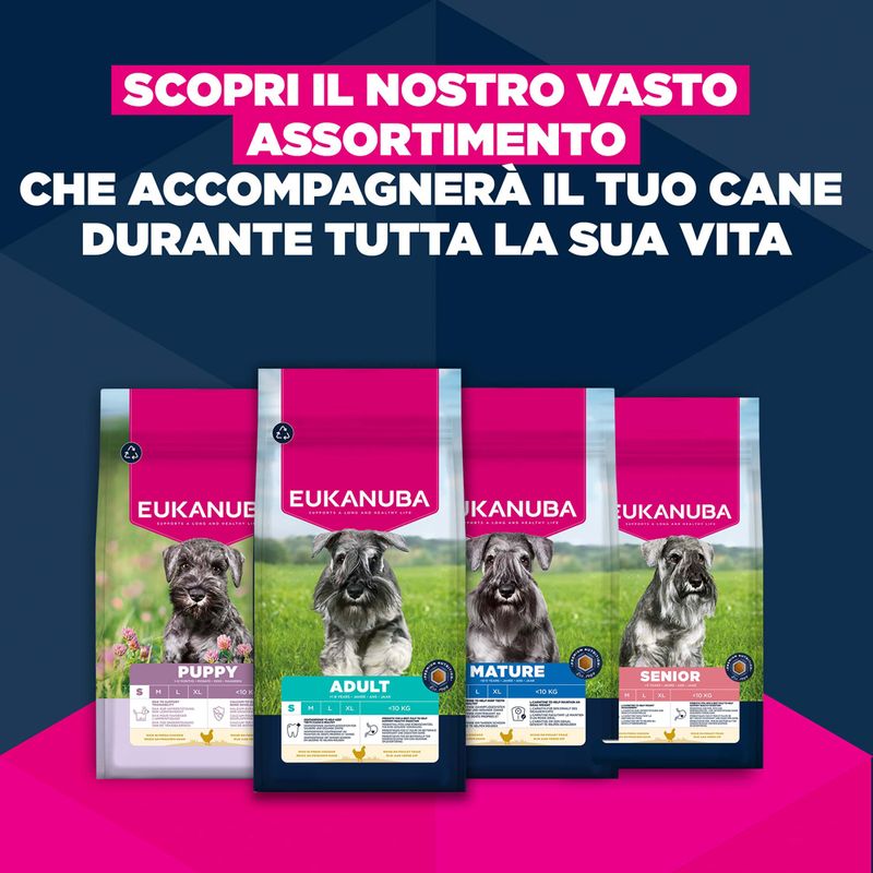 Eukanuba Premium Nutrition Senior Small Breed Pollo