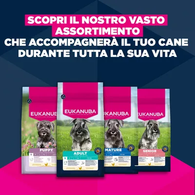 Eukanuba Premium Nutrition Senior Small Breed Pollo