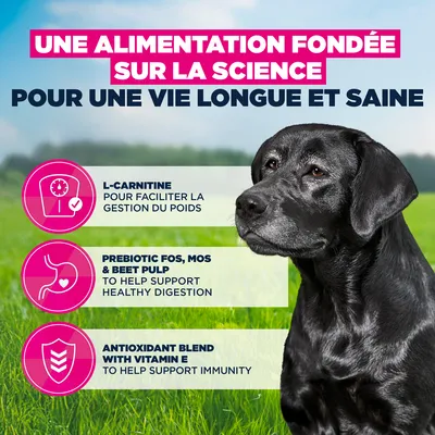 Eukanuba Premium Nutrition Senior Large et Giant Breed au poulet